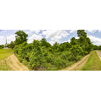 2016-05-11-130549-1-1